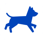 dog azul