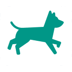 logo dog verde produtos