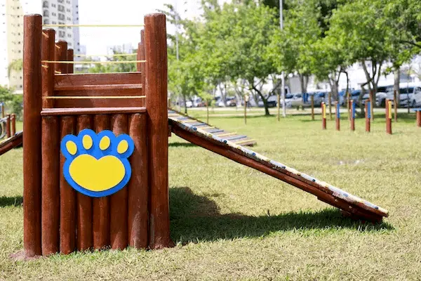 play pet