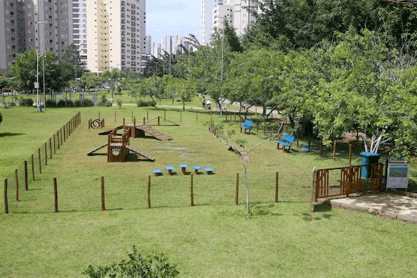 playground para cachorro