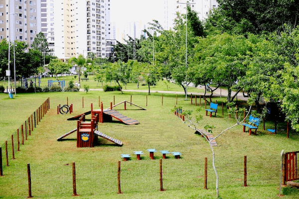 playground pet
