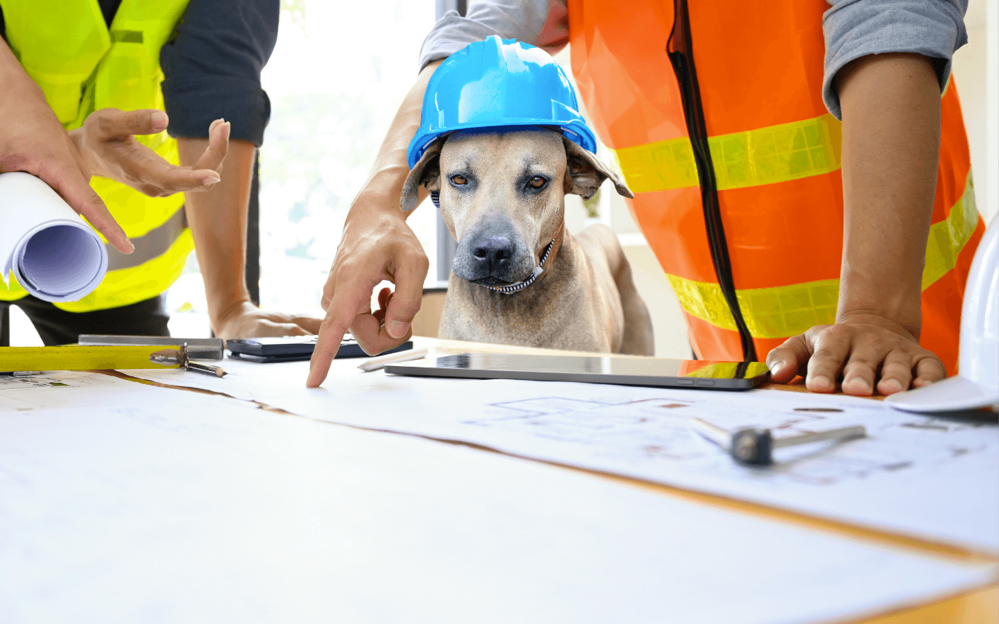 projeto espaço pet para construtoras