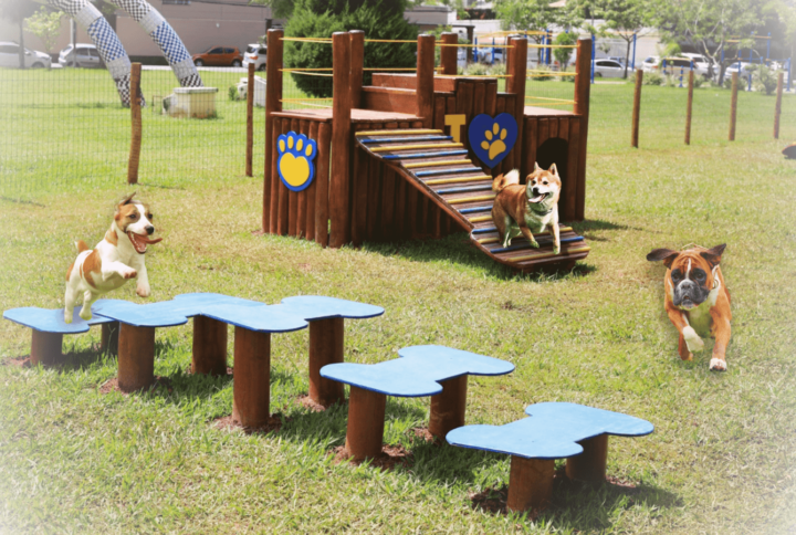 Playground para Cachorro – Diversão e Saúde para o Pet