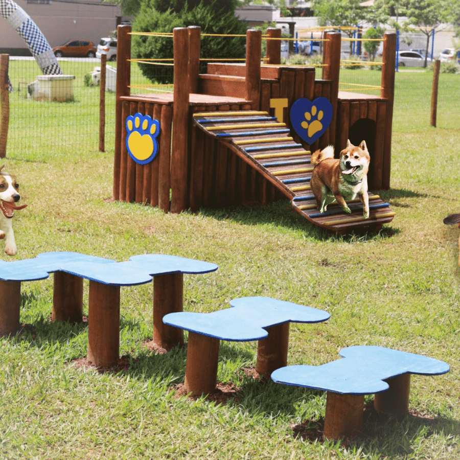 playground para cachorro