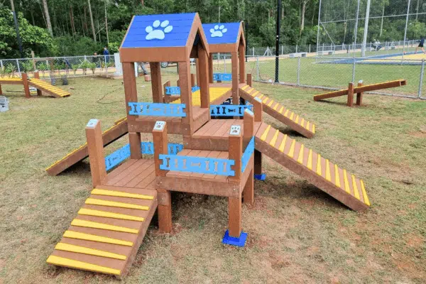 playground para cachorro