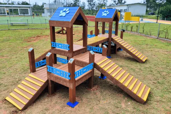 playground para cachorro