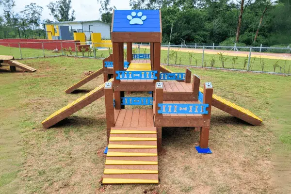 playground para cachorro