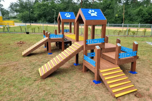 playground para cachorro