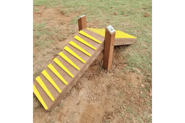 playground para cachorro