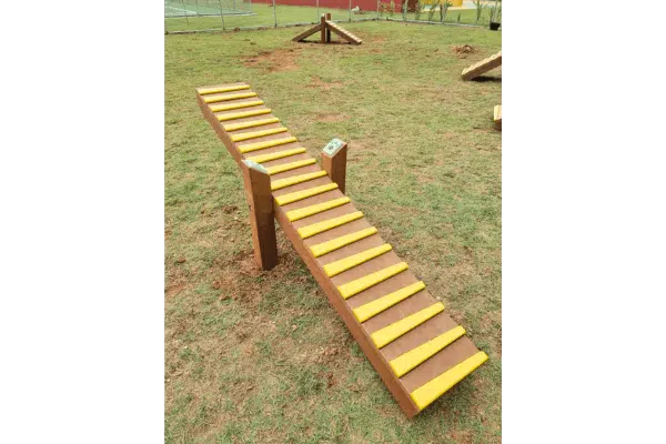 playground para cachorro