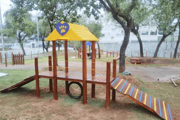 playground pet