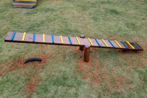 playground pet