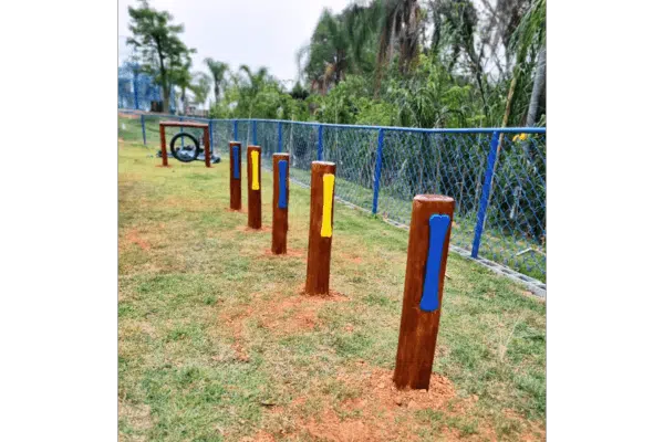 playground pet