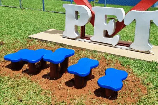 playground pet madeira