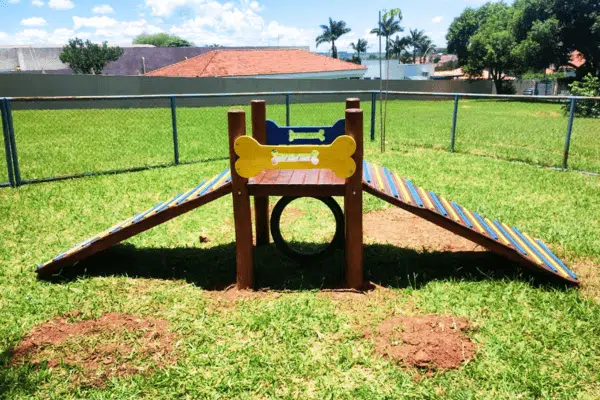 playground pet madeira