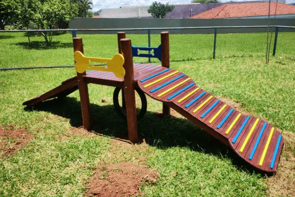 playground pet madeira